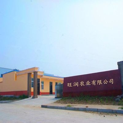 旺潤肥料廠家 專業(yè)有機(jī)肥與水溶肥定制加工，創(chuàng)新驅(qū)動農(nóng)業(yè)未來