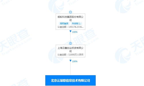 信息技術咨詢服務 數字化轉型時代的導航儀